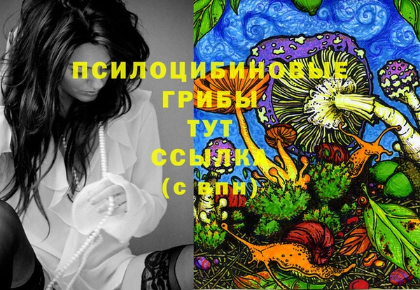 2c-b Сафоново