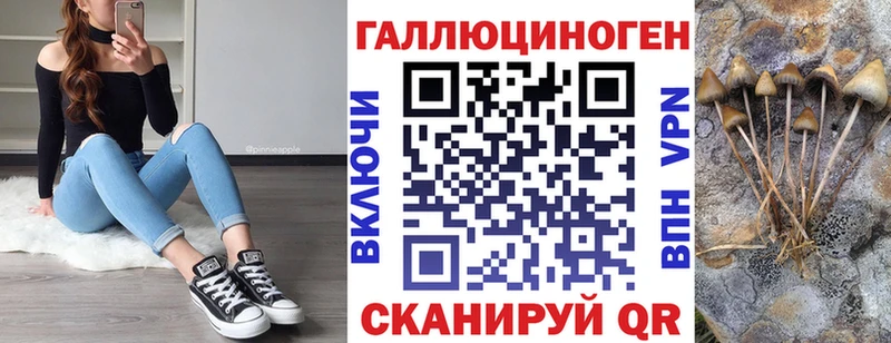 darknet состав  где купить наркоту  Анжеро-Судженск  Псилоцибиновые грибы мухоморы  omg ссылка 