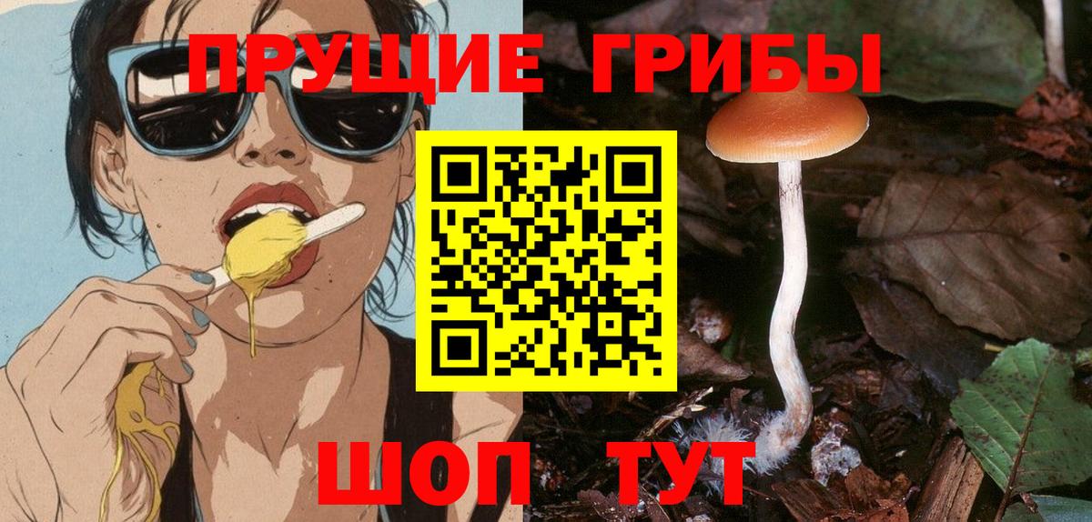 Галлюциногенные грибы GOLDEN TEACHER Анжеро-Судженск