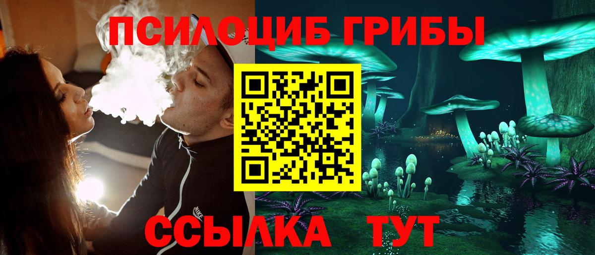 Псилоцибиновые грибы Magic Shrooms  Вход с VPN  Анжеро-Судженск 