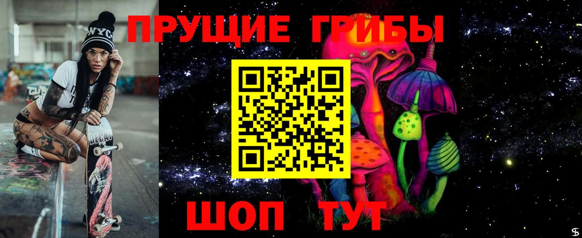 Галлюциногенные грибы Psilocybine cubensis  купить   Анжеро-Судженск 