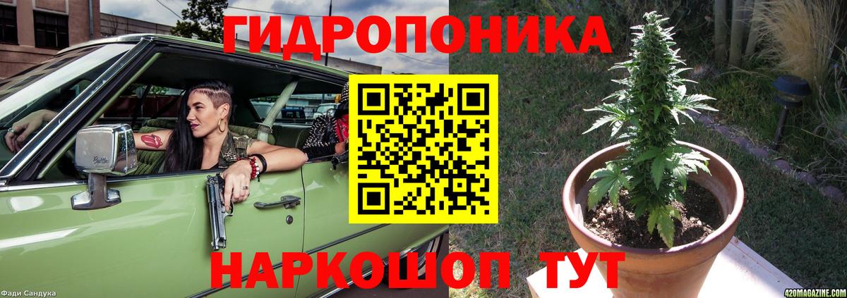 Бошки марихуана AK-47  Канабис гибрид  Каннабис тримм  Анжеро-Судженск 